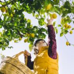 Compra cítricos valencianos online